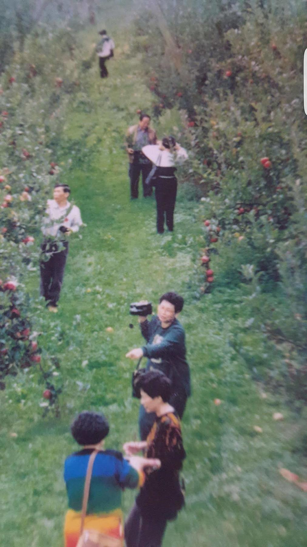 Waitomo Orchard Estate B&B Otorohanga Exterior foto